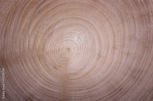 Fototapeta Naklejka Na Ścianę i Meble -  wood texture circles