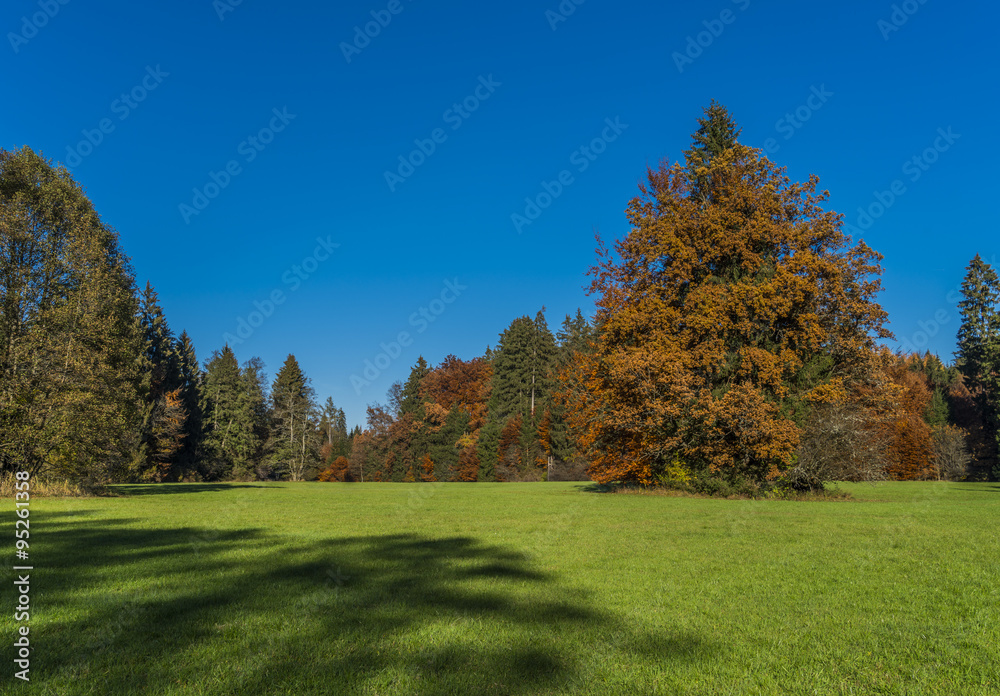 Herbstliche Trendfarben der Natur unter blauem Himmel