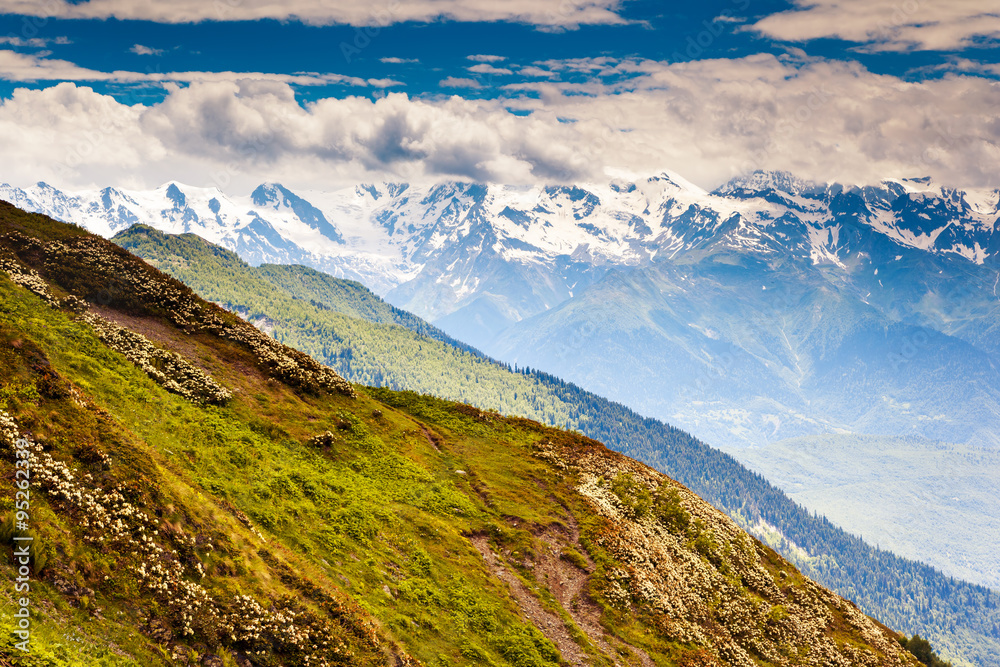 Fototapeta premium views of the alpine meadows