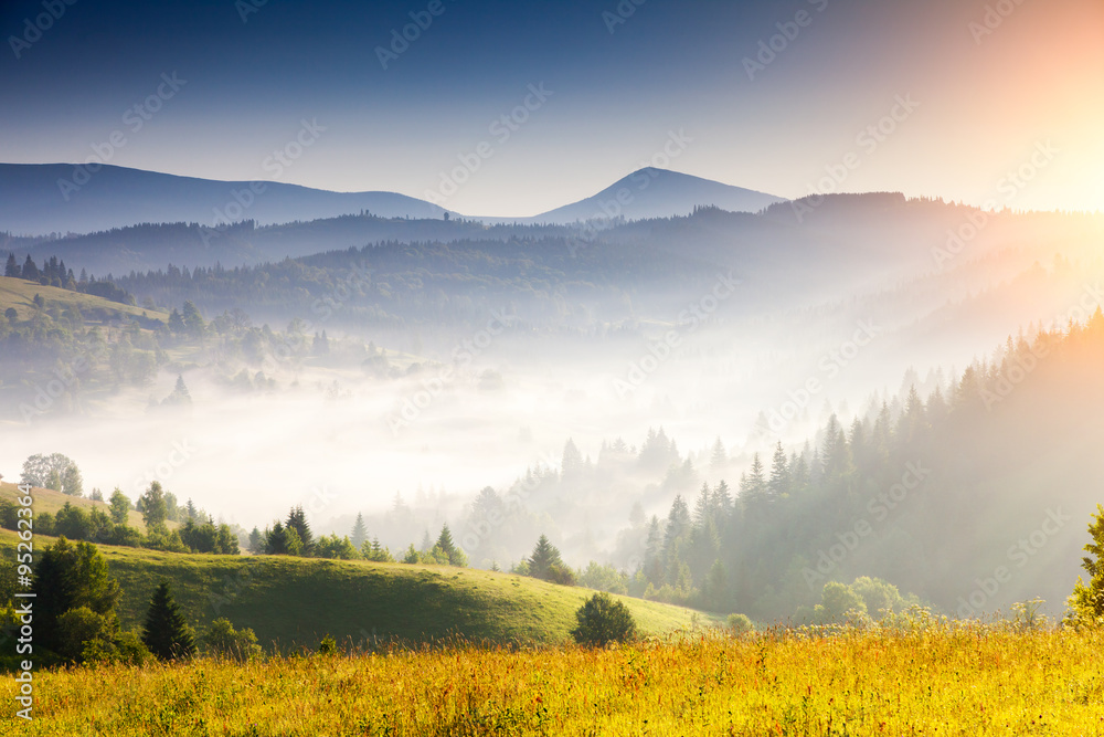 Summer landscape in mountains Summer landscape in mountains