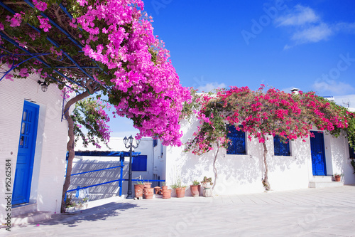 Fototapeta Naklejka Na Ścianę i Meble -  Traditional greek house with flowers in Paros island, Greece. Blue door and blue window surrounded by magenta flowers.