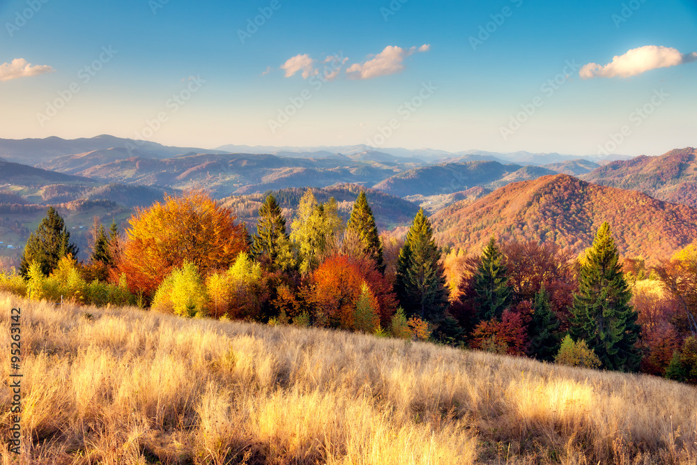 beautiful autumn day beautiful autumn day