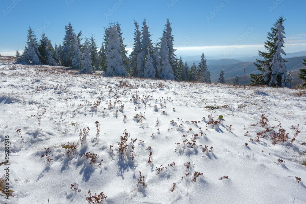 First snow in mountain area at sunny day First snow in mountain area at sunny day
