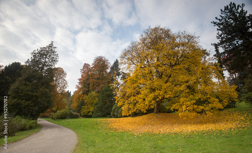 bergpark wilhelmshoehe kassel germany in the autumn