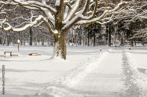 Winter landscape - Swierklaniec, park. Poland. photo