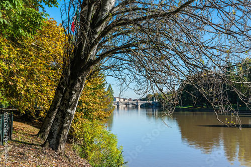 Wallpaper Mural Po River in autumn, Turin, Italy Torontodigital.ca