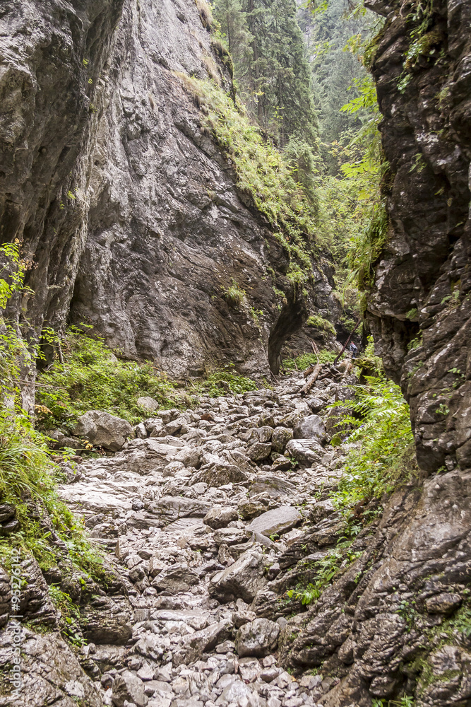 Ravine Cracow - Tatra National Park, Poland. Ravine Cracow - Tatra National Park, Poland.