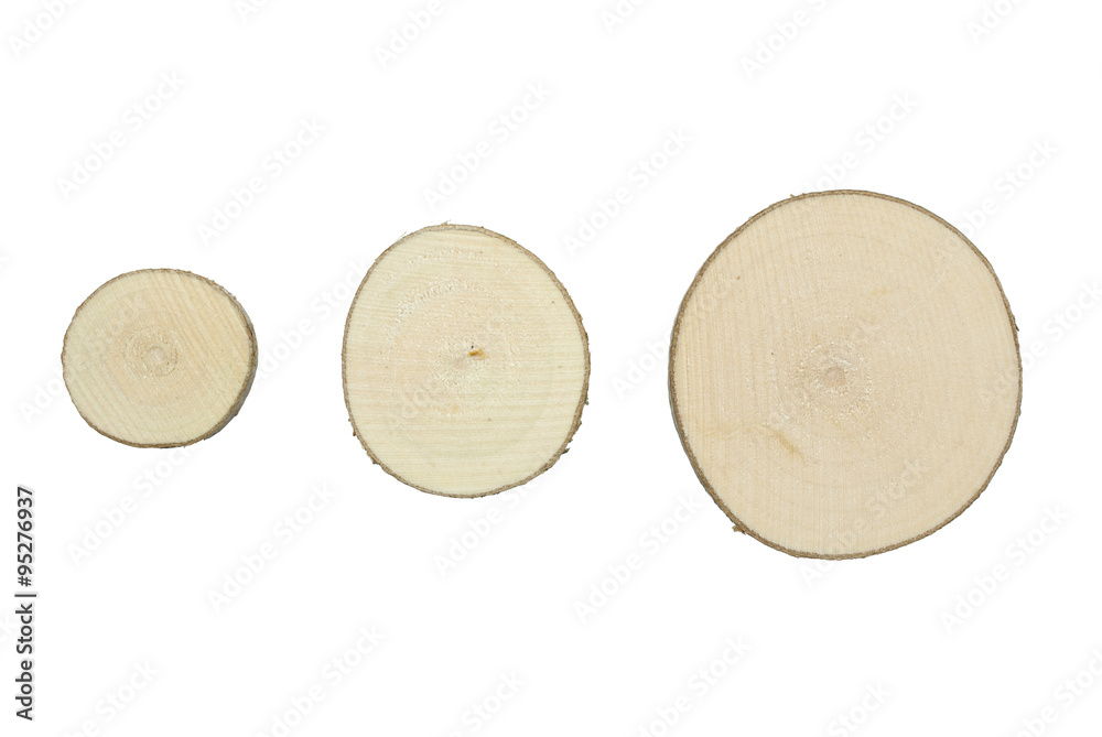 Tree trunk cross section, isolated on white background. Three different size tree trunk sections Tree trunk cross section, isolated on white background. Three different size tree trunk sections