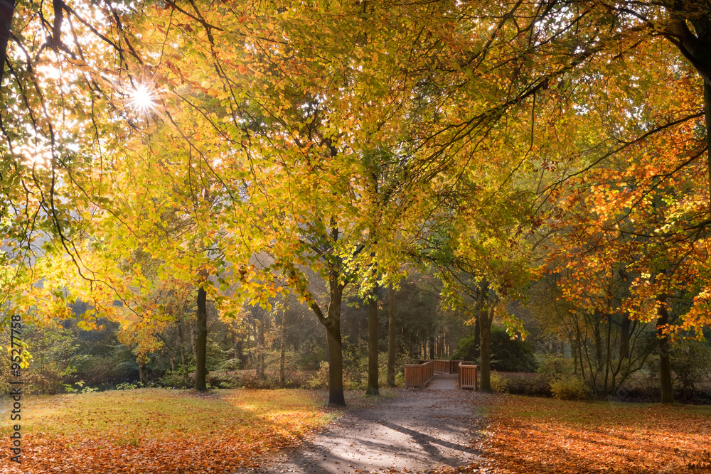 Ein schöner Herbsttag