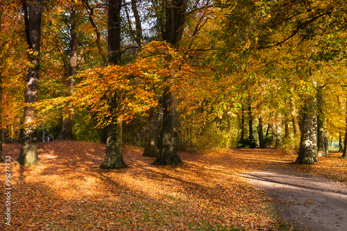 Ein schöner Herbsttag