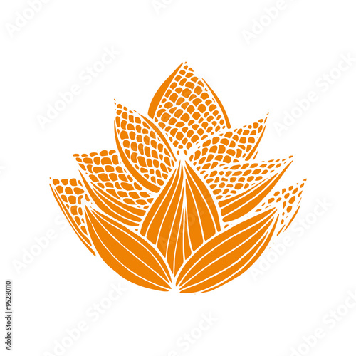 Flower of lotus