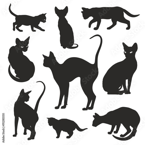 Cats silhouettes elegant graphic icon vector set