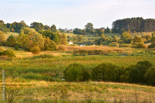 Landscape with meadows and marsh