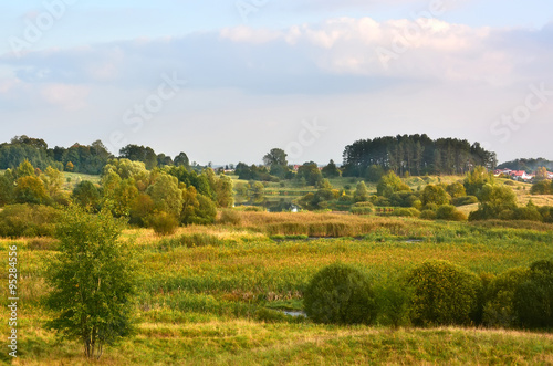 Landscape with meadows and marsh