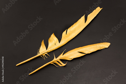 Two gold feathers on a black background