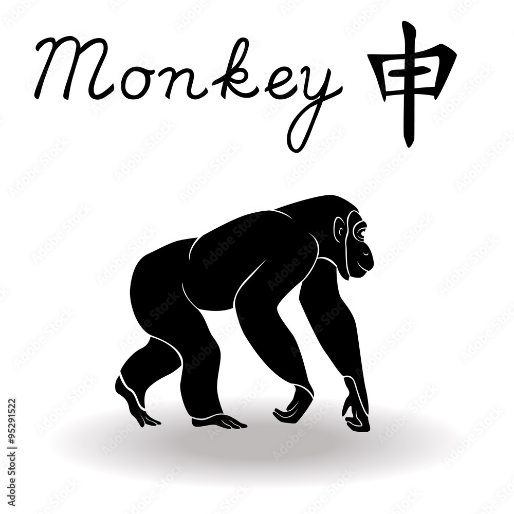 Fototapeta premium Chinese Zodiac Sign Monkey