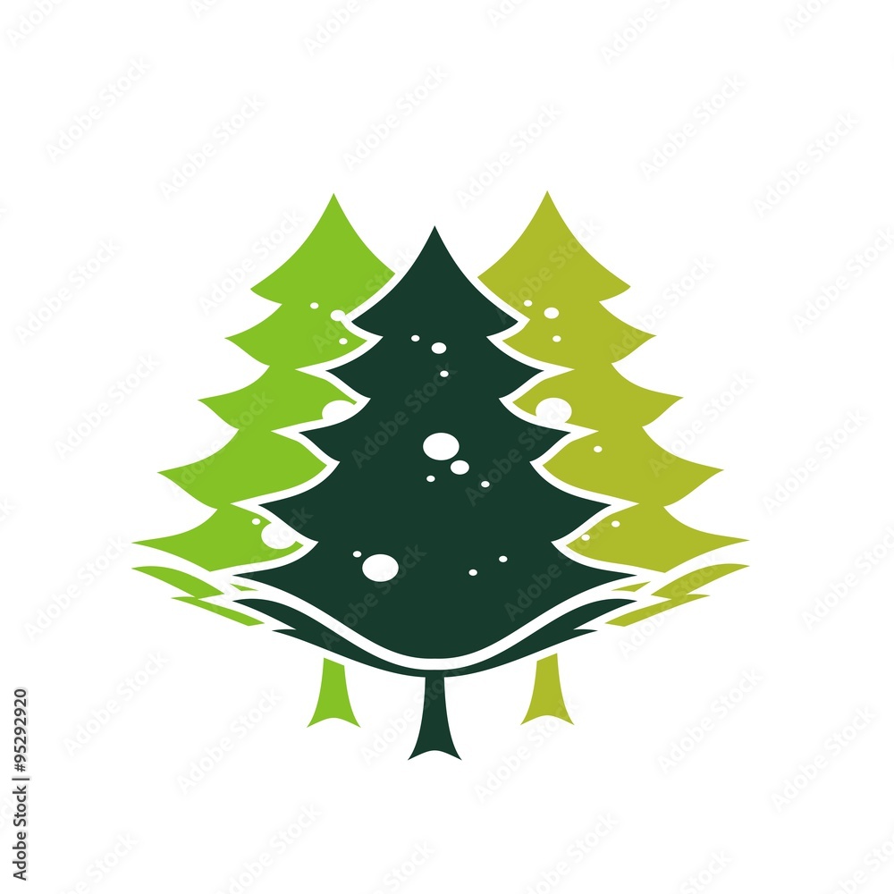 spruce spruce