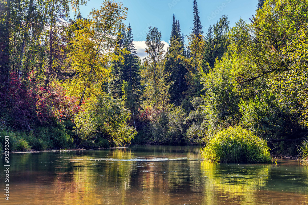 Wild nature of Siberia. .Tongul river in the Tomsk region.. Wild nature of Siberia. .Tongul river in the Tomsk region..