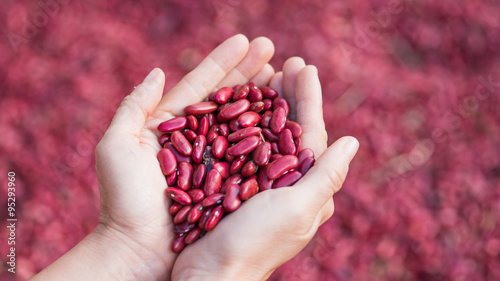 lady hold kidney beans in hand