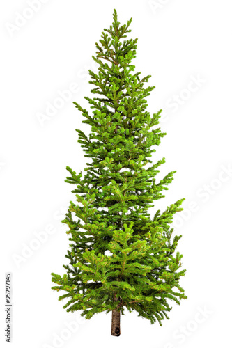Christmas tree isolated on white background.