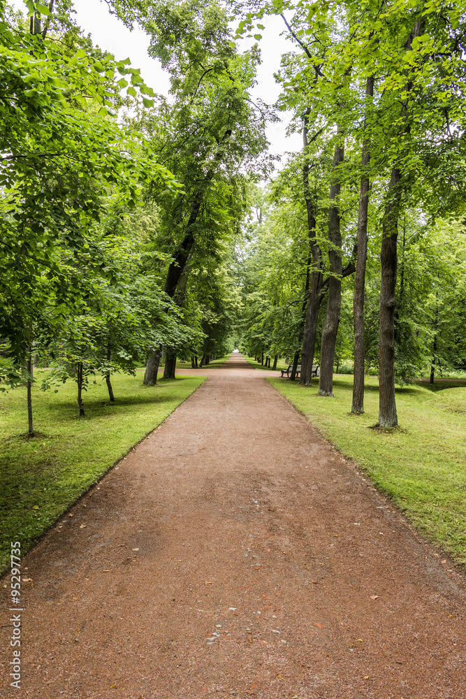 Beautiful park path