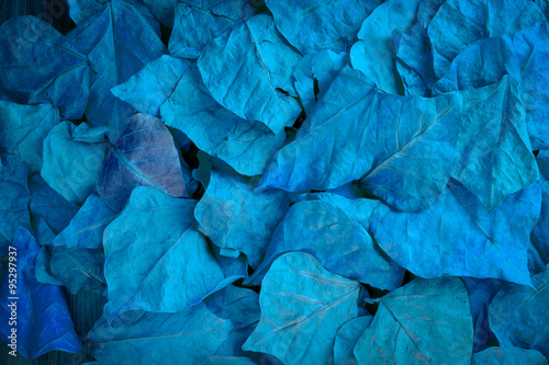 Wallpaper Mural blue autumn leaves Torontodigital.ca