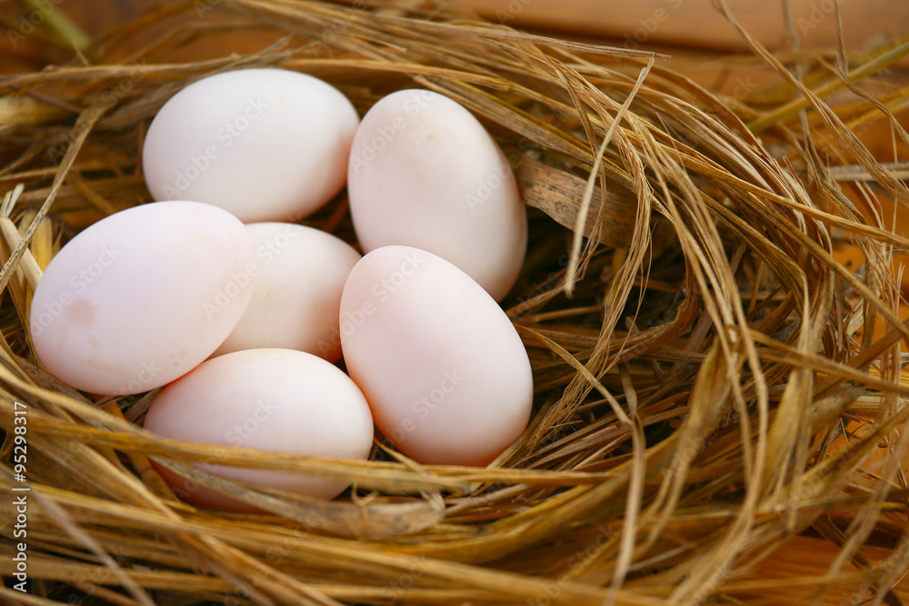eggs in nest on the nature, Fresh eggs for cooking or raw material, fresh eggs background. eggs in nest on the nature, Fresh eggs for cooking or raw material, fresh eggs background.