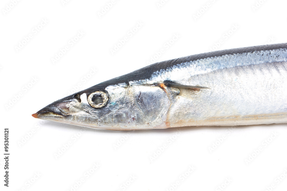 Fresh Pacific Saury isolated on white. Fresh Pacific Saury isolated on white.