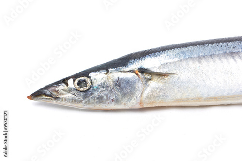 Fresh Pacific Saury isolated on white.