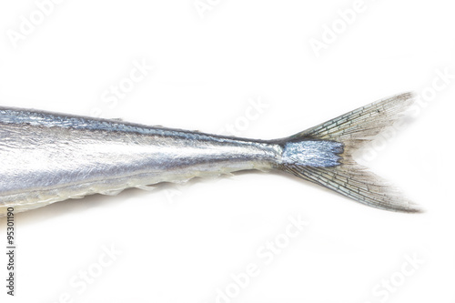 Fresh Pacific Saury isolated on white.