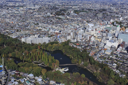 郊外の住宅地吉祥寺周辺／Aerial photo