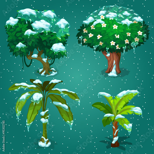 Four tropical plants in the ice on a green background