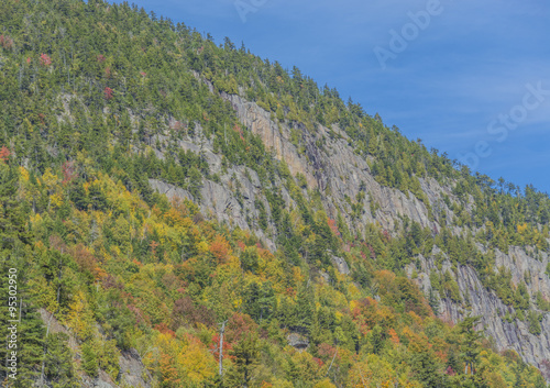 Fall colors on a cliff.  