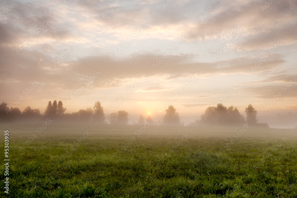 Tranquil foggy grassland at sunrise