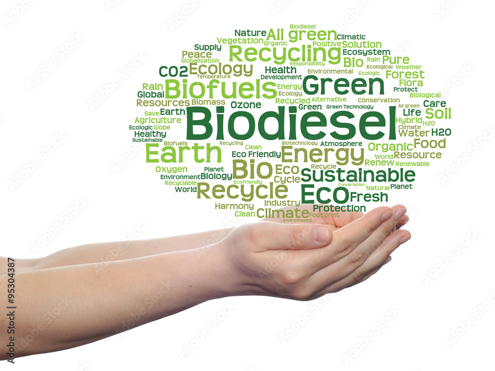 Conceptual ecology word cloud isolated Conceptual ecology word cloud isolated