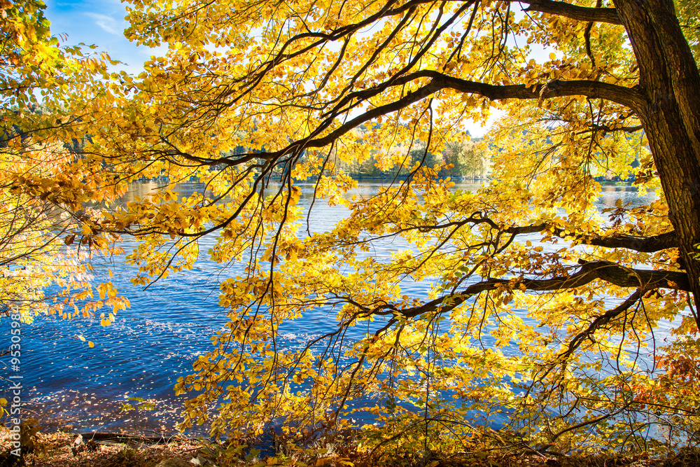 Herbst Wasser