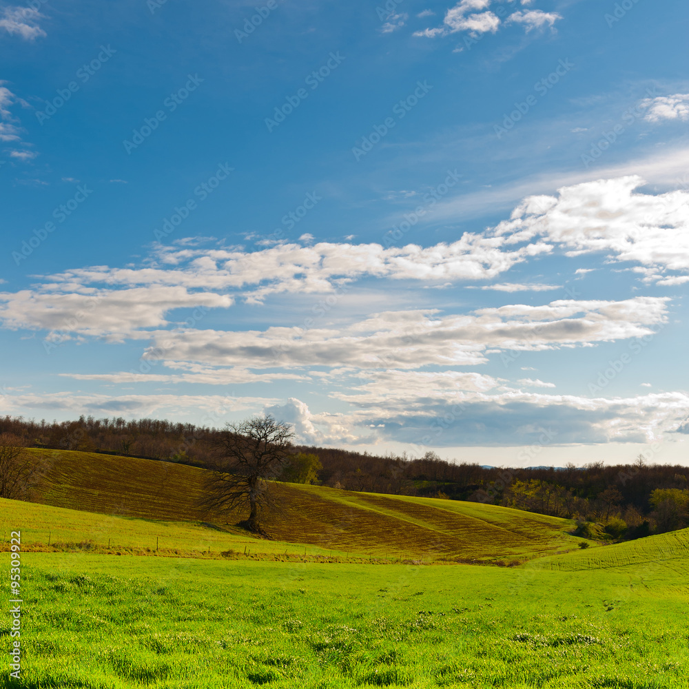 Fototapeta premium Meadows of Tuscany
