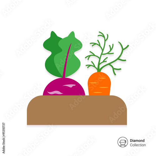Growing kohlrabi and carrot