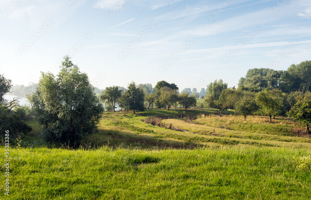 Colorful Dutch rural landscape in summertime