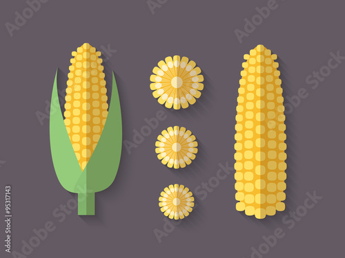 A set of Vegetables in a Flat Style - Ear of Corn