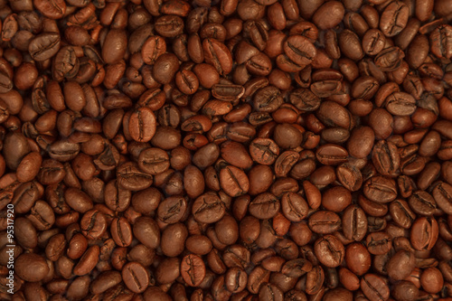 Coffee Beans 