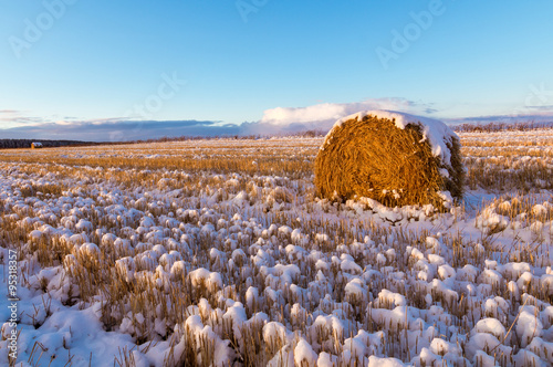 сельское поле со скошенной травой и первым снегом, Россия, Урал