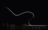 Electric Guitar Abstract