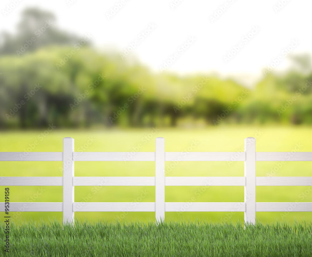 Table Top And Blur Nature of Background Table Top And Blur Nature of Background
