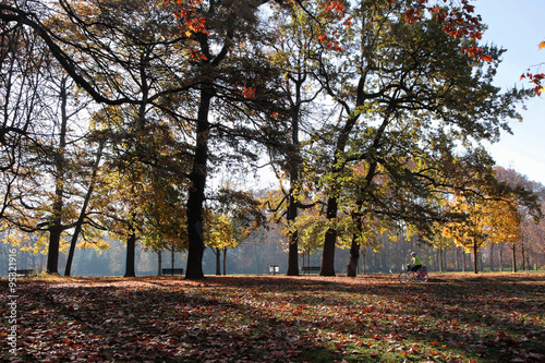 Le Parc de la T  te d Or    Lyon est un des plus grands parcs urbains d Europe