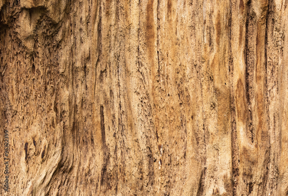 macro timber texture macro timber texture