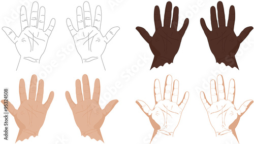 Right and left hands with lines of life, health, success, career