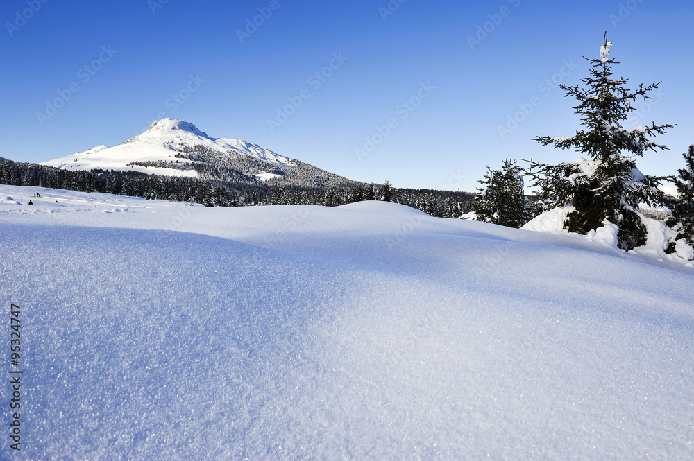 Fototapeta premium Paesaggio innevato