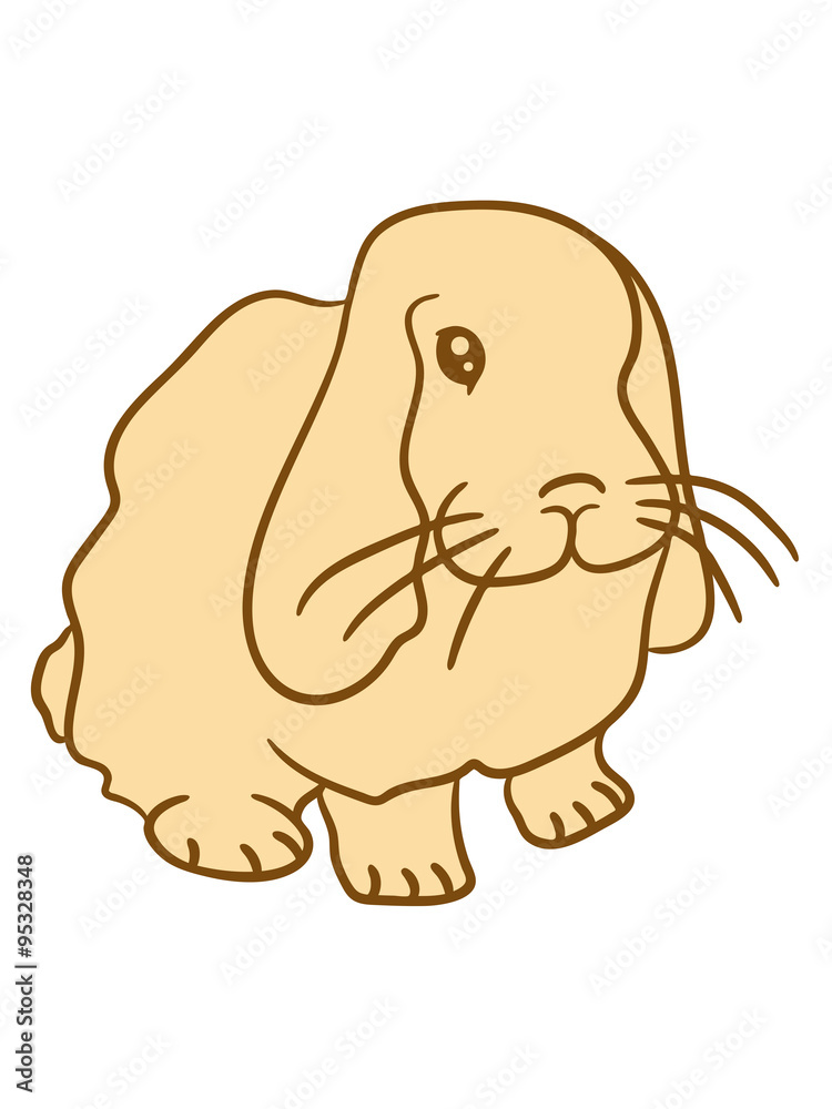 sweet little baby bunny bunny sweet little baby bunny bunny