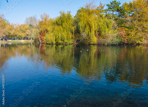 lake